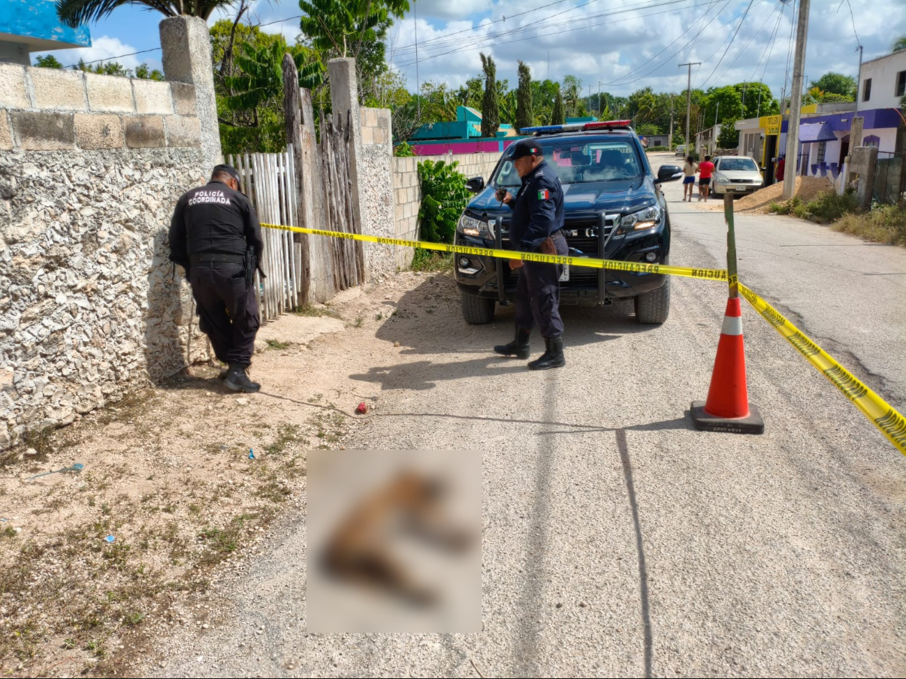 Crueldad animal continúa en Yucatán; matan a un perro con veneno en Tizimín