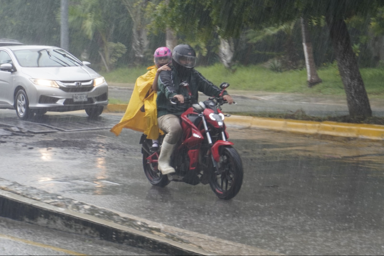 Incluye a tus mascotas: Así debe ser tu Plan Familiar ante ciclones en Campeche