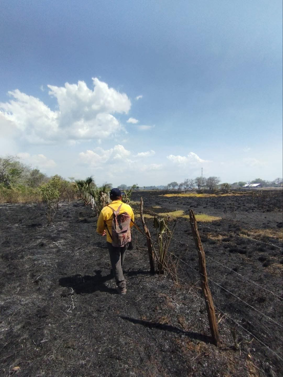 Campeche entra en etapa crítica de incendios forestales con 32 siniestros acumulados
