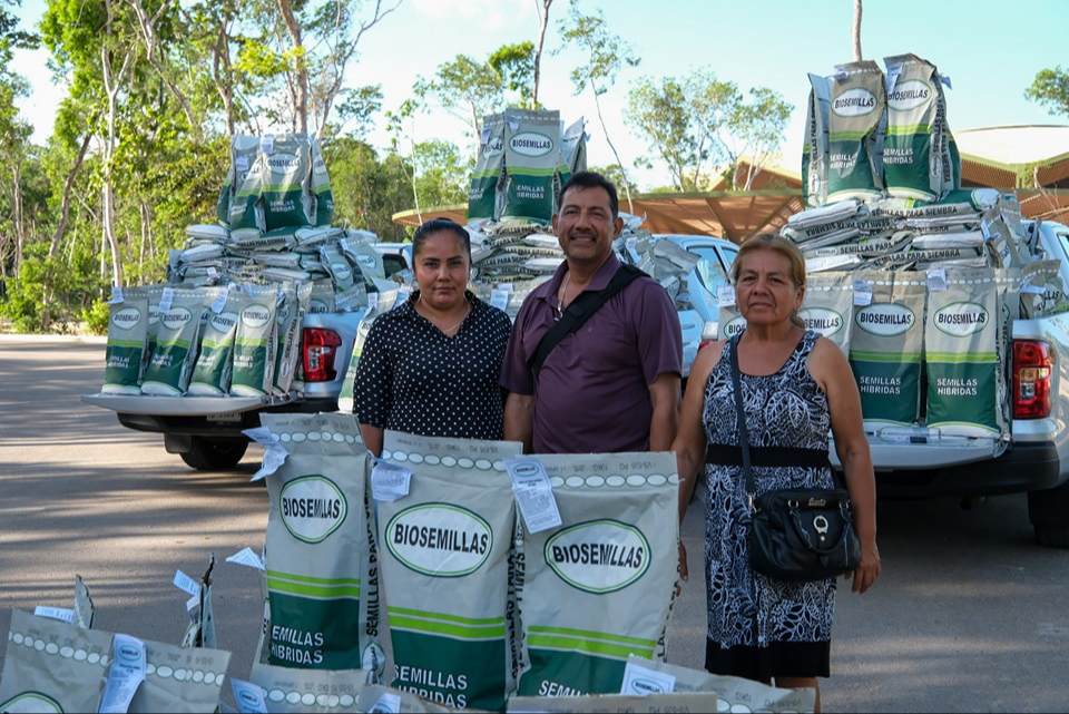 Entregan más de 70 toneladas de semilla mejorada de maíz a productores de Chetumal