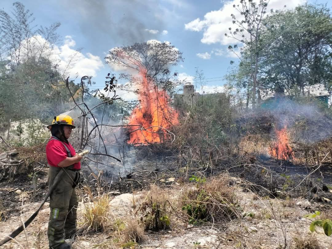 Bomberos atienden su segundo incendio de la semana en la colonia Miguel Hidalgo, Escárcega