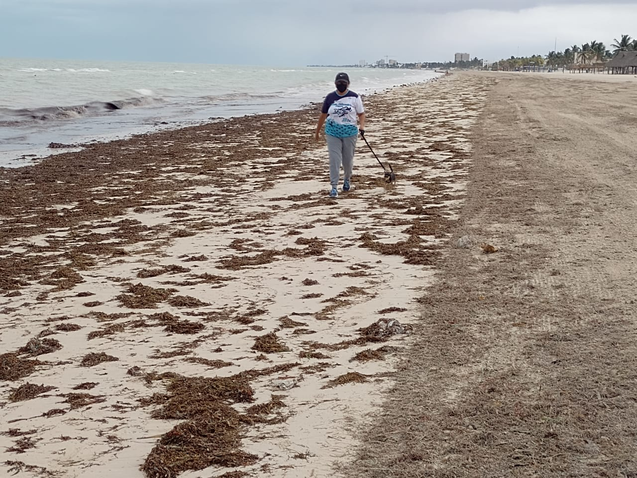  Bajamar  sorprende  a turistas y pescadores de Progreso