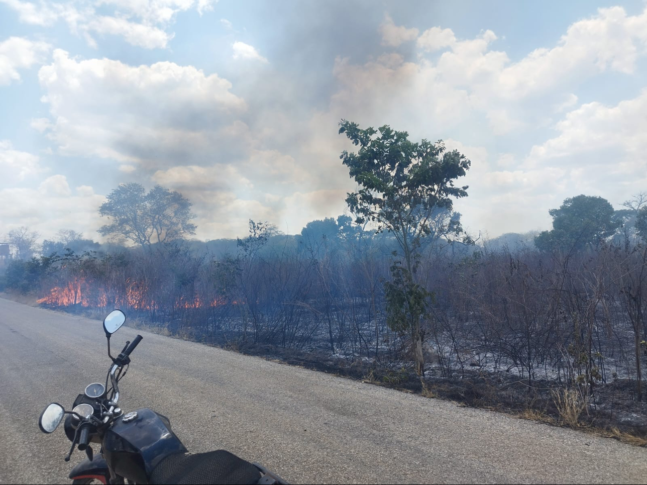 Los productores consideran que el incendio fue provocado, pero no hay cámaras para identificar a los responsables Los productores consideran que el incendio fue provocado, pero no hay cámaras para identificar a los responsables