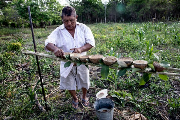 “2 mil pesos ya no alcanzan”: Piden más apoyo para comisarios ejidales en Campeche 
