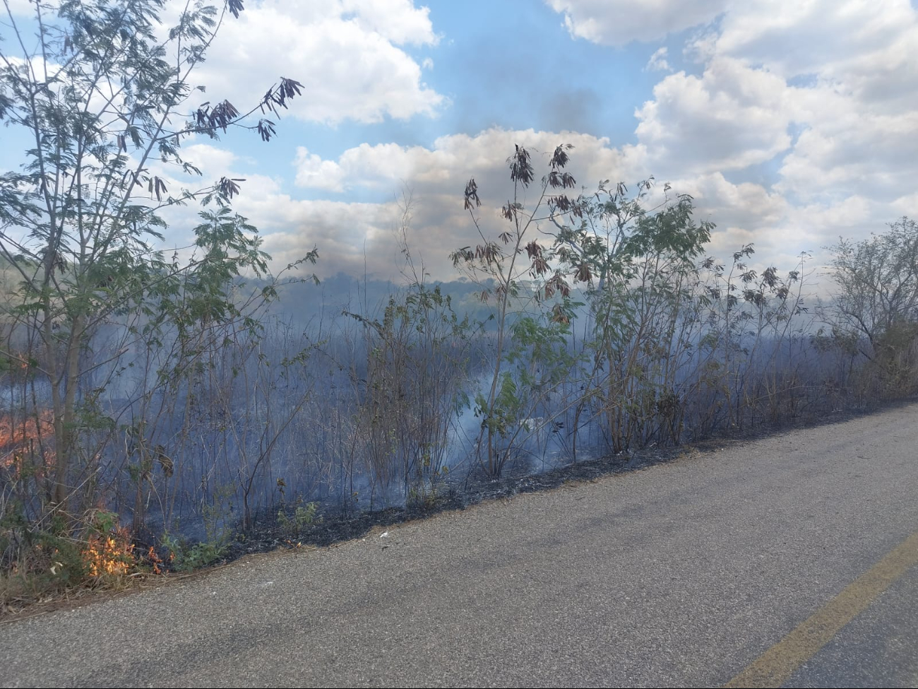 Incendio en Campeche amenaza cultivos de ‘Sembrando Vida’; habría sido provocado