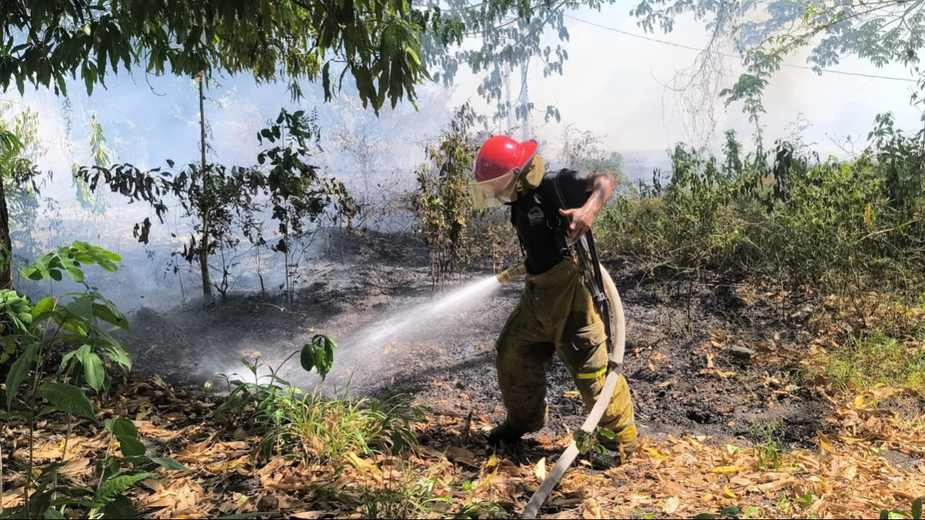 Autoridades recomiendan extremar precauciones ante incendios de maleza. Autoridades recomiendan extremar precauciones ante incendios de maleza.