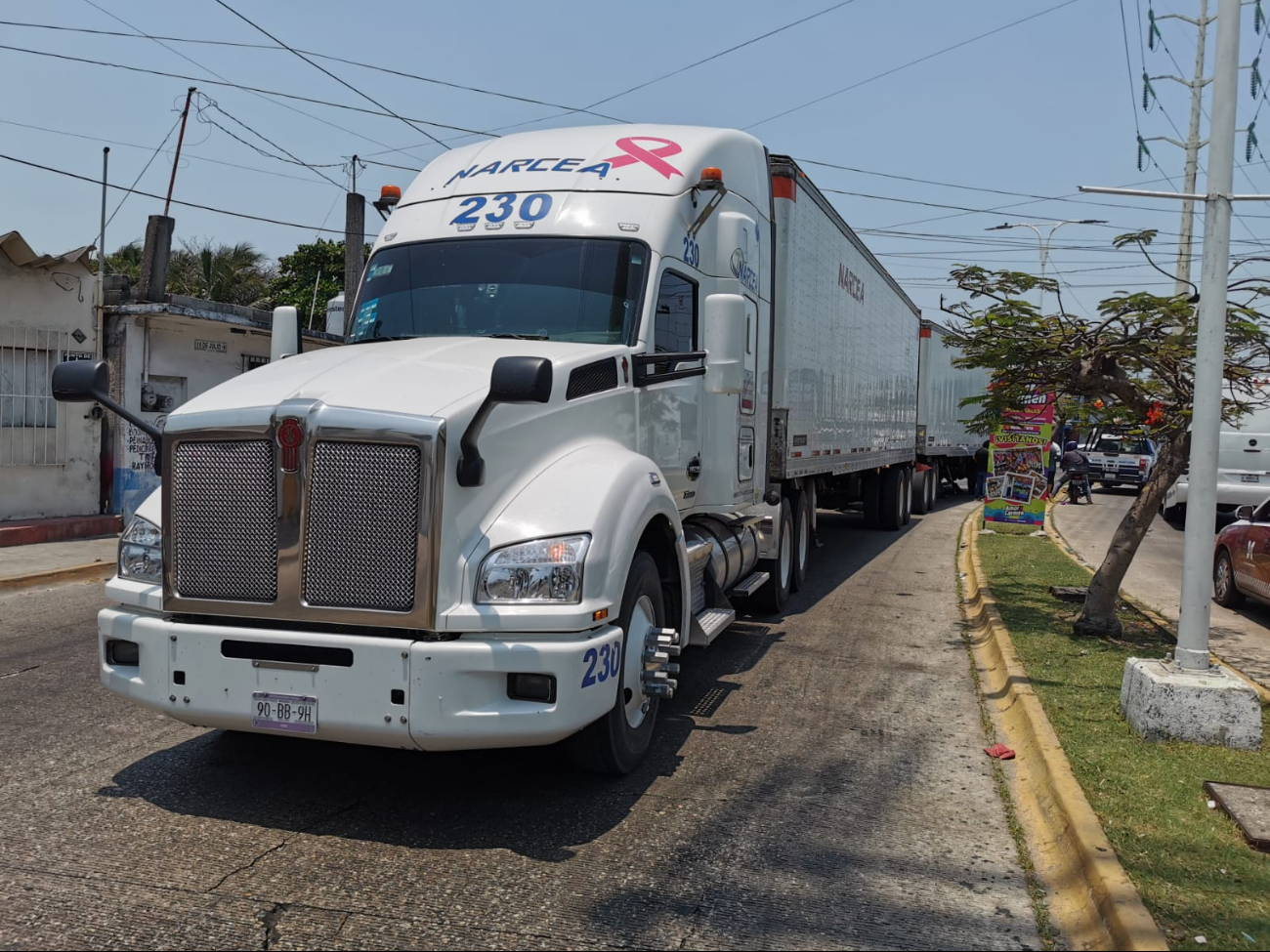 El conductor del tráiler no presentó cargos y lamentó el hecho. El conductor del tráiler no presentó cargos y lamentó el hecho.