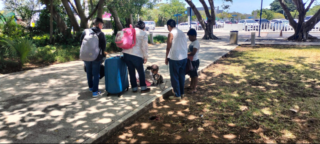 Emotivo reencuentro en el aeropuerto de Cancún: Jagger, un perrito de 10 años y su dueña se reúnen después de tres semanas 