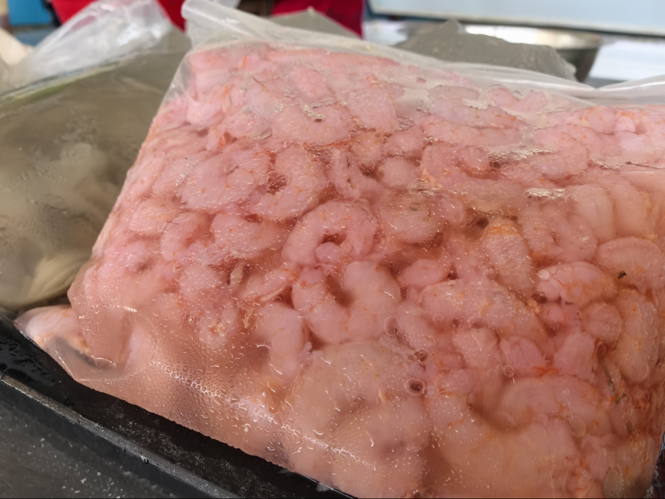 Veda del camarón 2025: Vigilan mercados en Ciudad del Carmen para evitar venta ilegal   