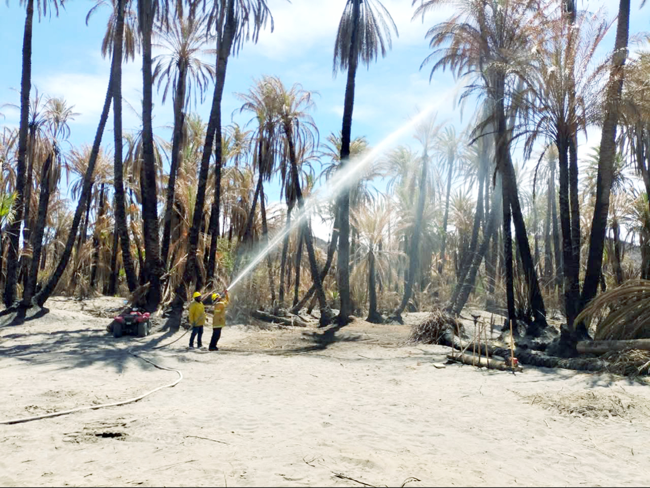 CEMF   controló “El Porvenir”, el incendio  más fuerte de 2025 en Quintana Roo 