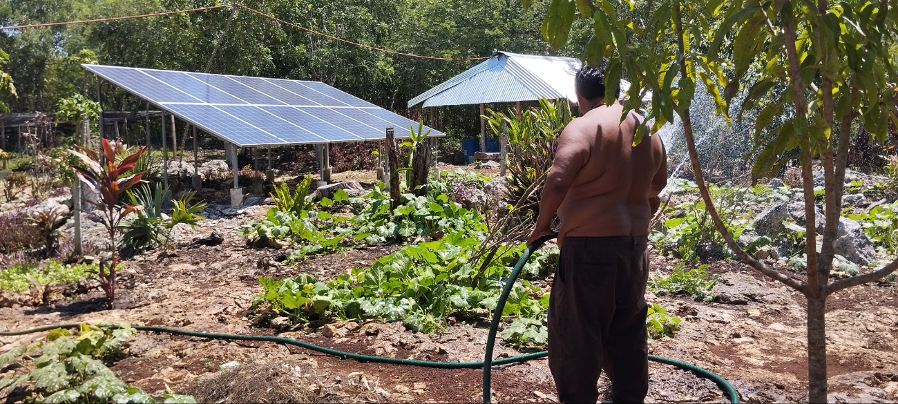 1220 productores están enlistados en este plan federal, los cuales esperan lluvias para cultivar 1220 productores están enlistados en este plan federal, los cuales esperan lluvias para cultivar