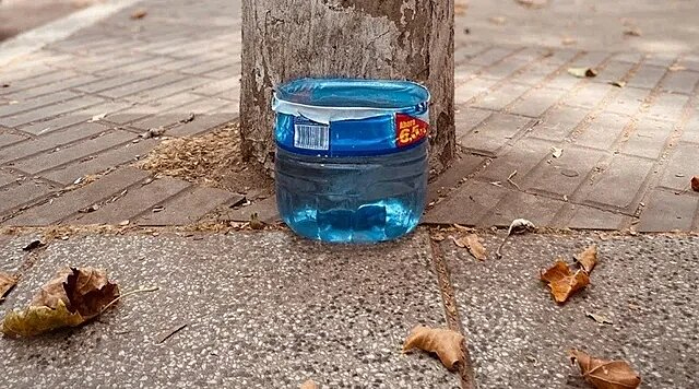 Animales callejeros corren mayor peligro; se sugiere poner agua y sombra en puntos visibles. Animales callejeros corren mayor peligro; se sugiere poner agua y sombra en puntos visibles.