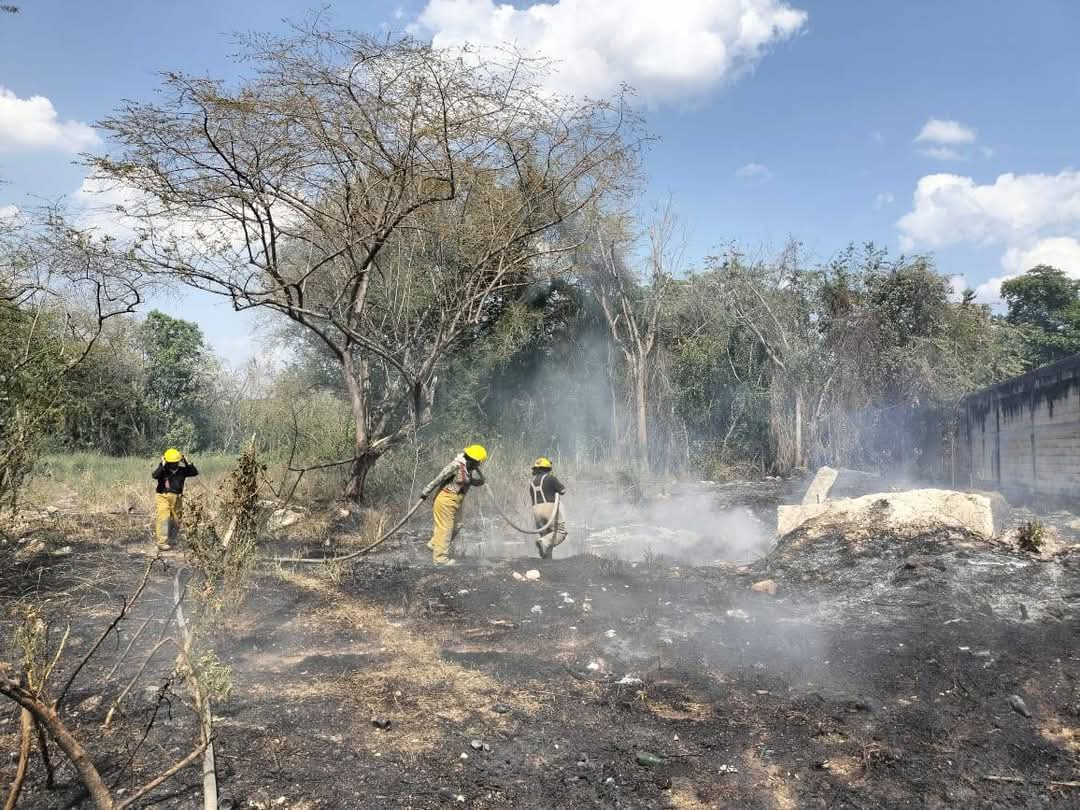 Bomberos y Protección Civil sofocaron un incendio de maleza en la colonia Esperanza.