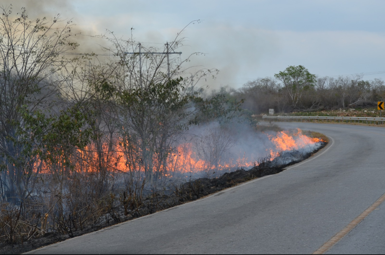 Persisten incendios en Campeche por quemas agrícolas y falta de lluvias   