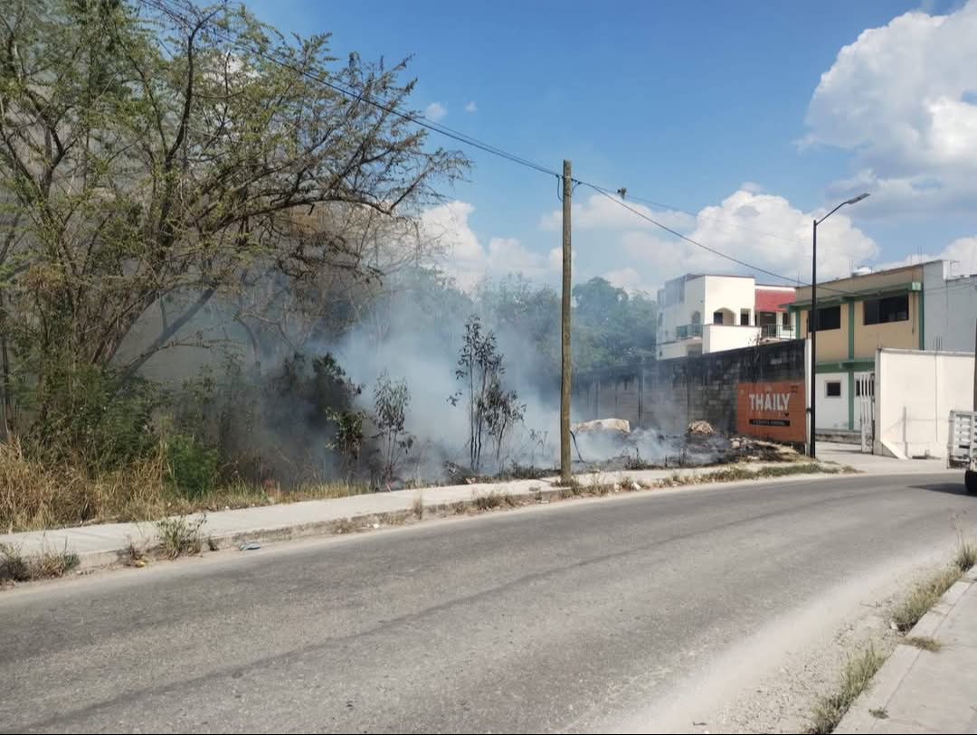 El incendio fue controlado luego de una intensa labor. El incendio fue controlado luego de una intensa labor.