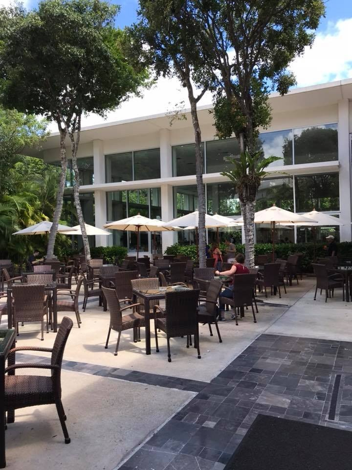 En la Riviera Maya, la captación de visitantes es de 85%, sobre todo de Yucatán, Monterrey y Ciudad de México En la Riviera Maya, la captación de visitantes es de 85%, sobre todo de Yucatán, Monterrey y Ciudad de México