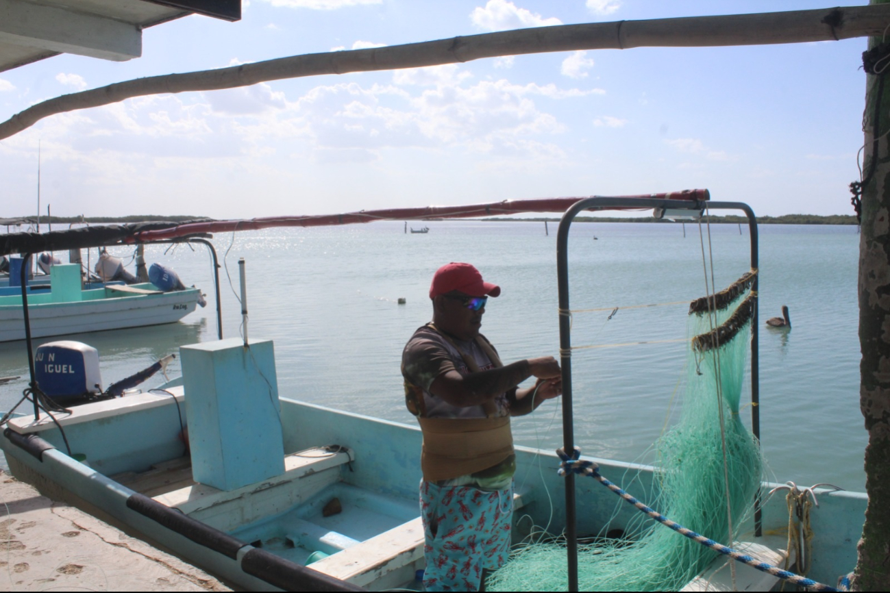 Sobreexplotación de especies y la contaminación causan crisis en la pesca en Yucatán   