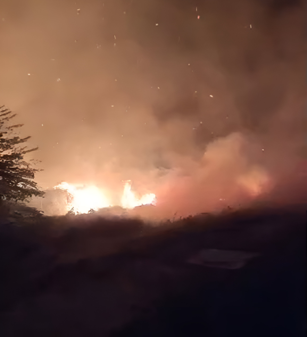 Bomberos controlan incendio de maleza cerca del Tren Maya en Fertimex