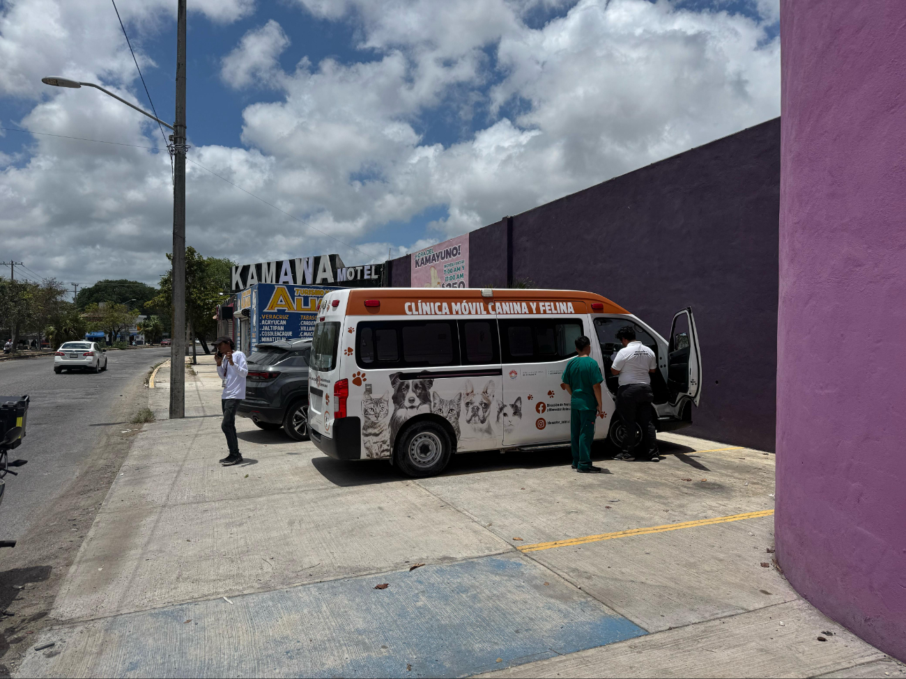 Hasta el momento se desconoce el estado actual del perro callejero Hasta el momento se desconoce el estado actual del perro callejero