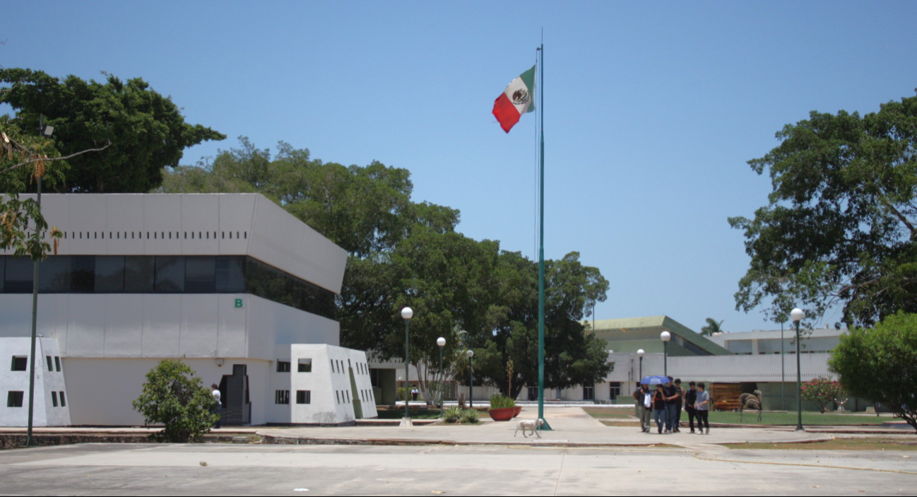 Cuatrimestre de la Universidad Tecnológica de Mérida, en riesgo por  el paro indefinido de los docentes