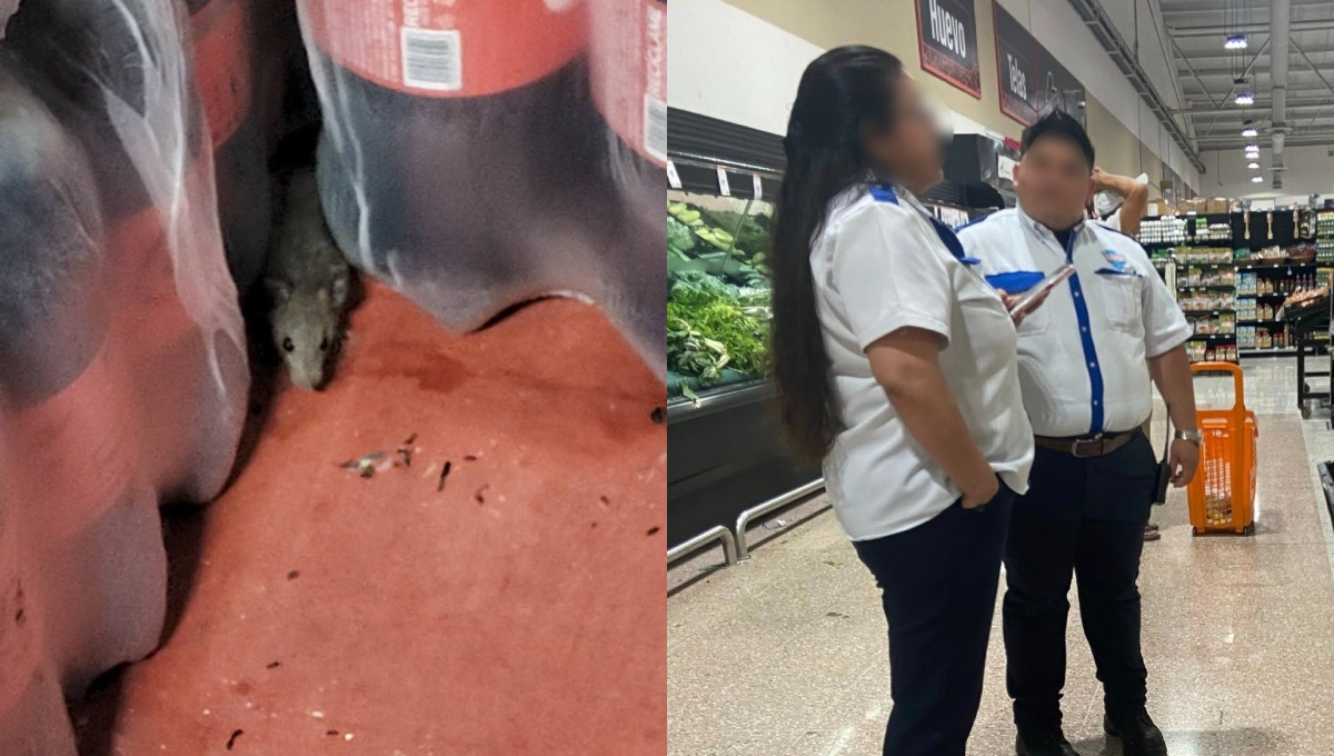 La presencia de ratas y los guardias de seguridad son temas del Chedraui de Las Américas