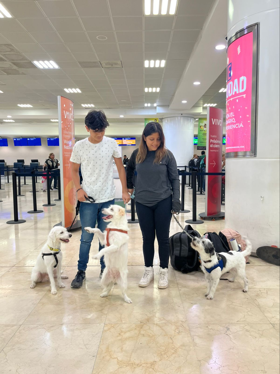 Pese a ser una decisión difícil y tener que deshacerse de sus pertenencias, sus perritos sí o sí tenían que irse con ellos