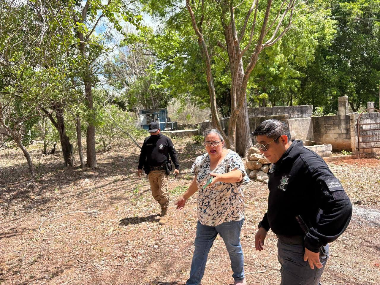 Señalan pobladores la destrucción de 10 kilómetros lineales en la Reserva Biocultural del Puuc