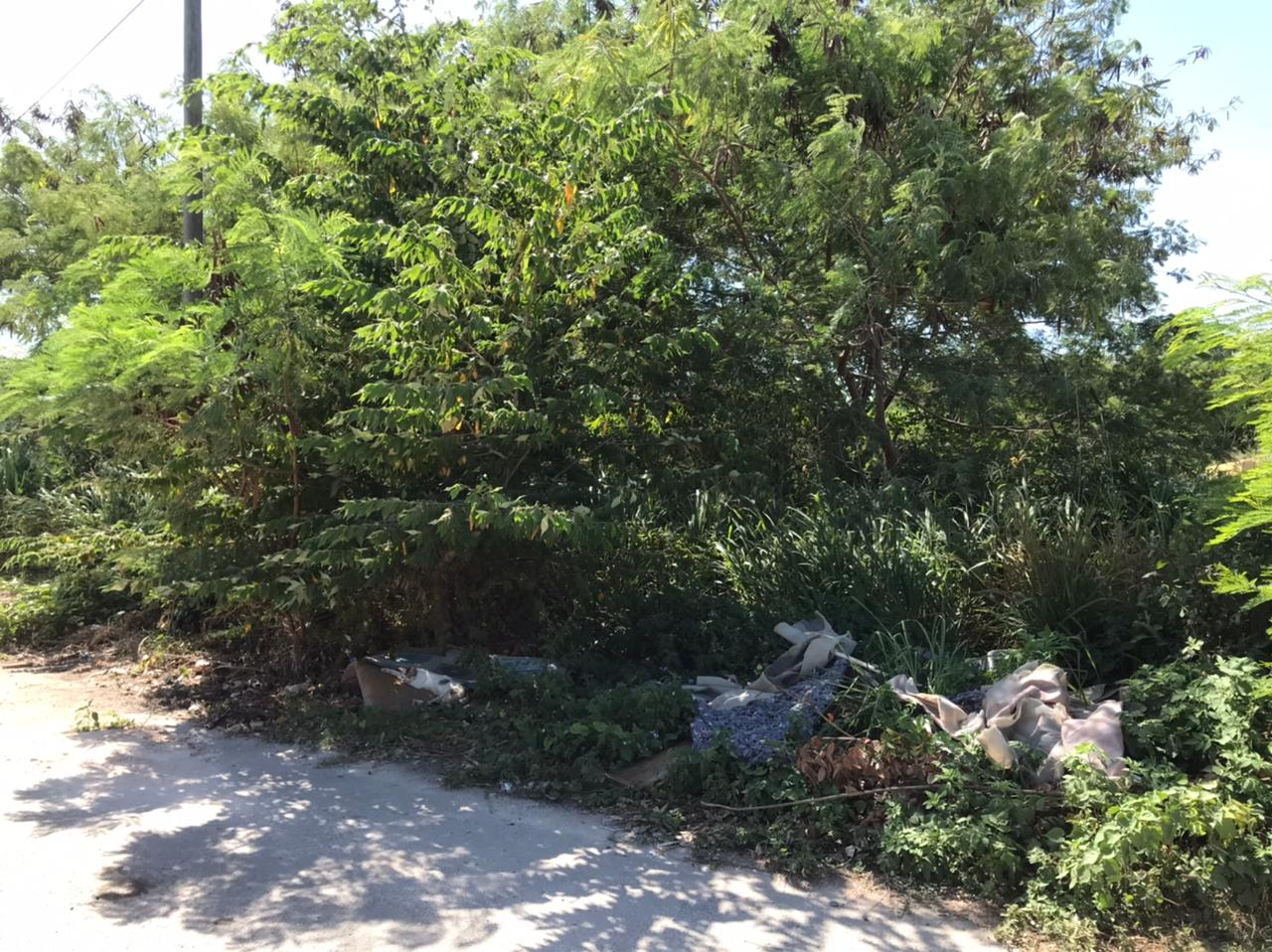 Reportan tiradero clandestino en La Esperanza de Chetumal
