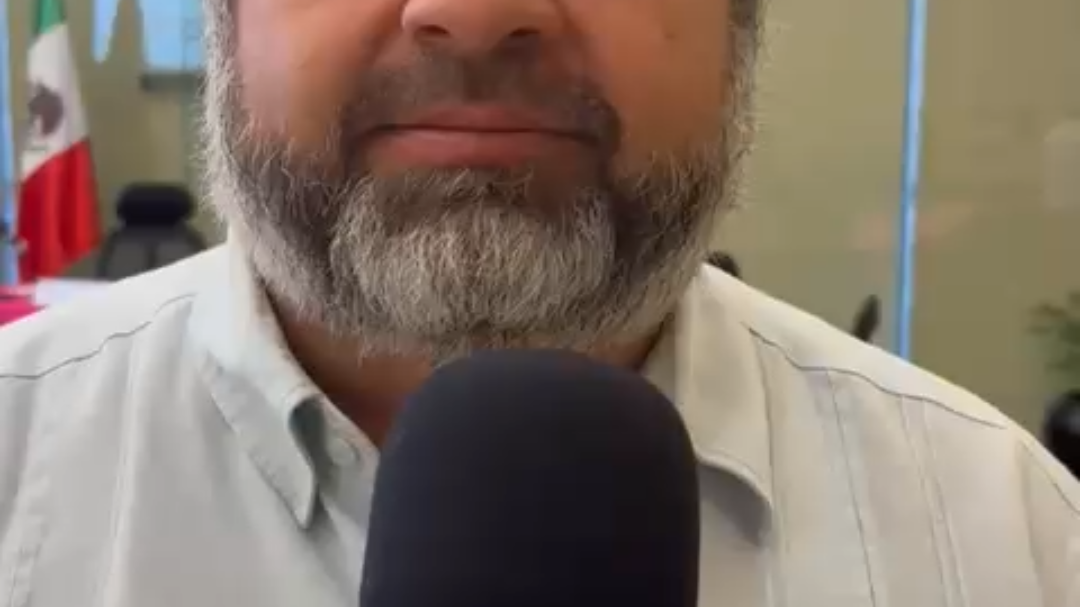 Luis Guillermo de San Denis, Consejero Presidente del INE en Yucatán.