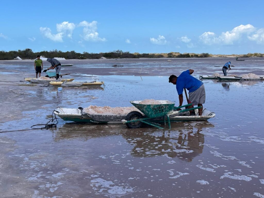 Trabajadores de Celestún cuidan y mantienen los espacios que les permiten ganarse la vida