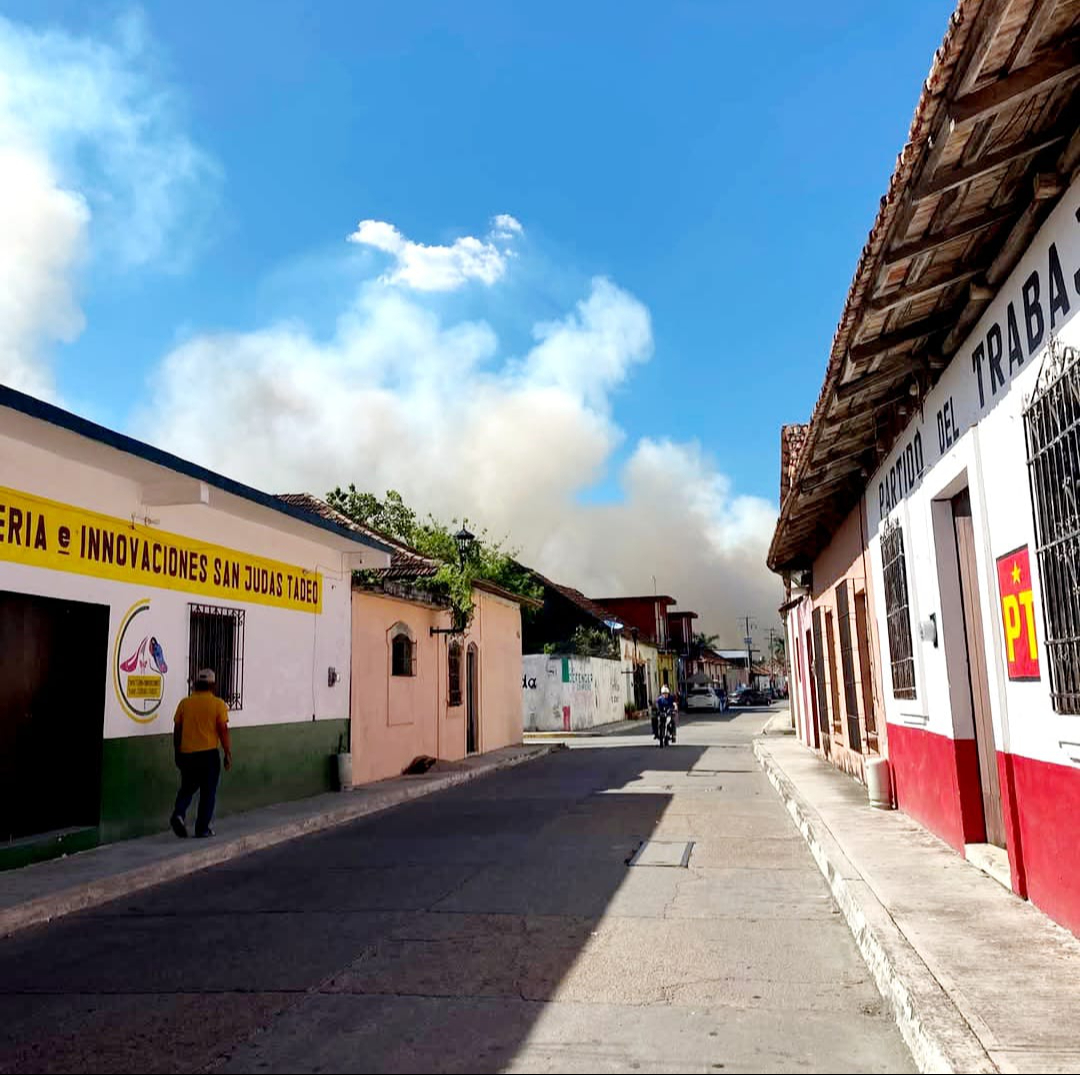 Denuncian el uso irresponsable del fuego y la falta de acción de autoridades ambientales en Palizada. Denuncian el uso irresponsable del fuego y la falta de acción de autoridades ambientales en Palizada.