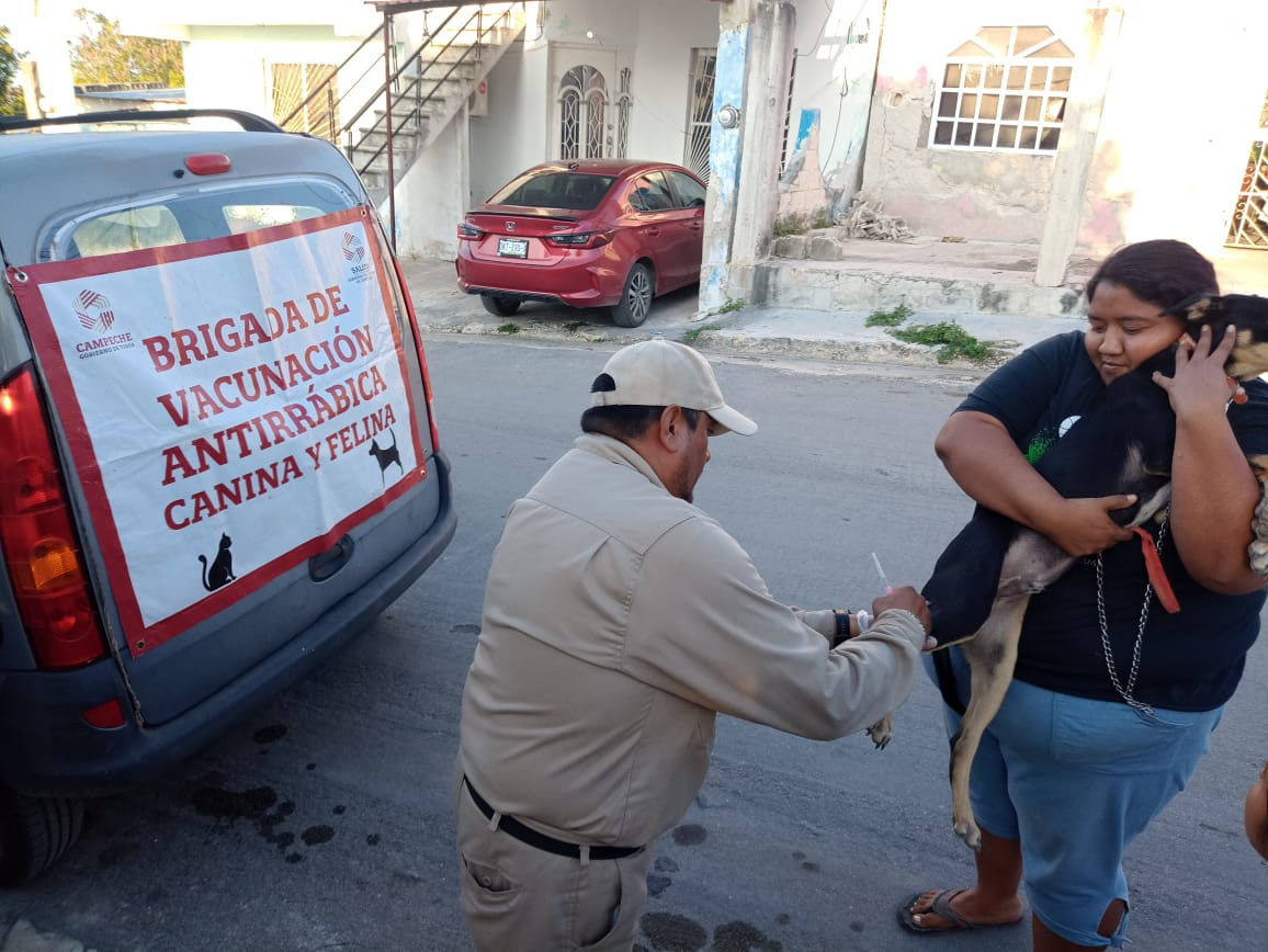 La estrategia incluye unidades móviles y módulos fijos en varios municipios. La estrategia incluye unidades móviles y módulos fijos en varios municipios.