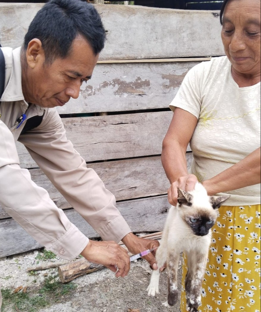 En zonas como Calakmul, Escárcega y Candelaria se aplicaron más de 28 mil vacunas. En zonas como Calakmul, Escárcega y Candelaria se aplicaron más de 28 mil vacunas.