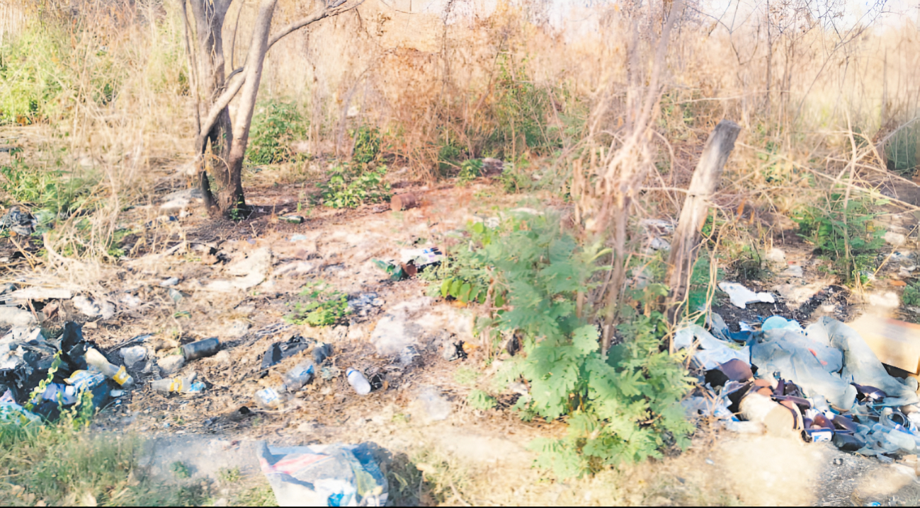 Vecinos de La Lupita no pueden respirar por basura clandestina Vecinos de La Lupita no pueden respirar por basura clandestina