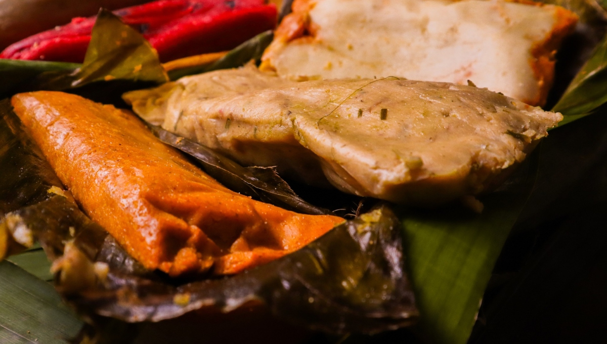 Tamales yucatecos y de otros estados se tendrán en la Tamaliza Fest en Mérida Tamales yucatecos y de otros estados se tendrán en la Tamaliza Fest en Mérida