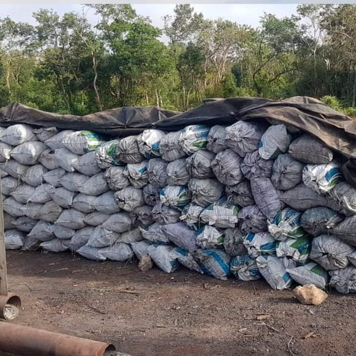 Campesinos señalan la presunta complicidad de la Profepa en la comisión del delito Campesinos señalan la presunta complicidad de la Profepa en la comisión del delito