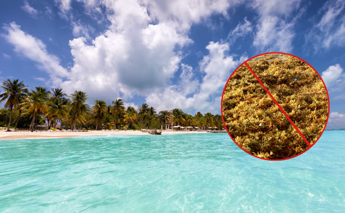 Aguas cristalinas y sin macroalga: Esta es la playa sin sargazo más famosa y se encuentra a menos de una hora de Cancún (VIDEO)