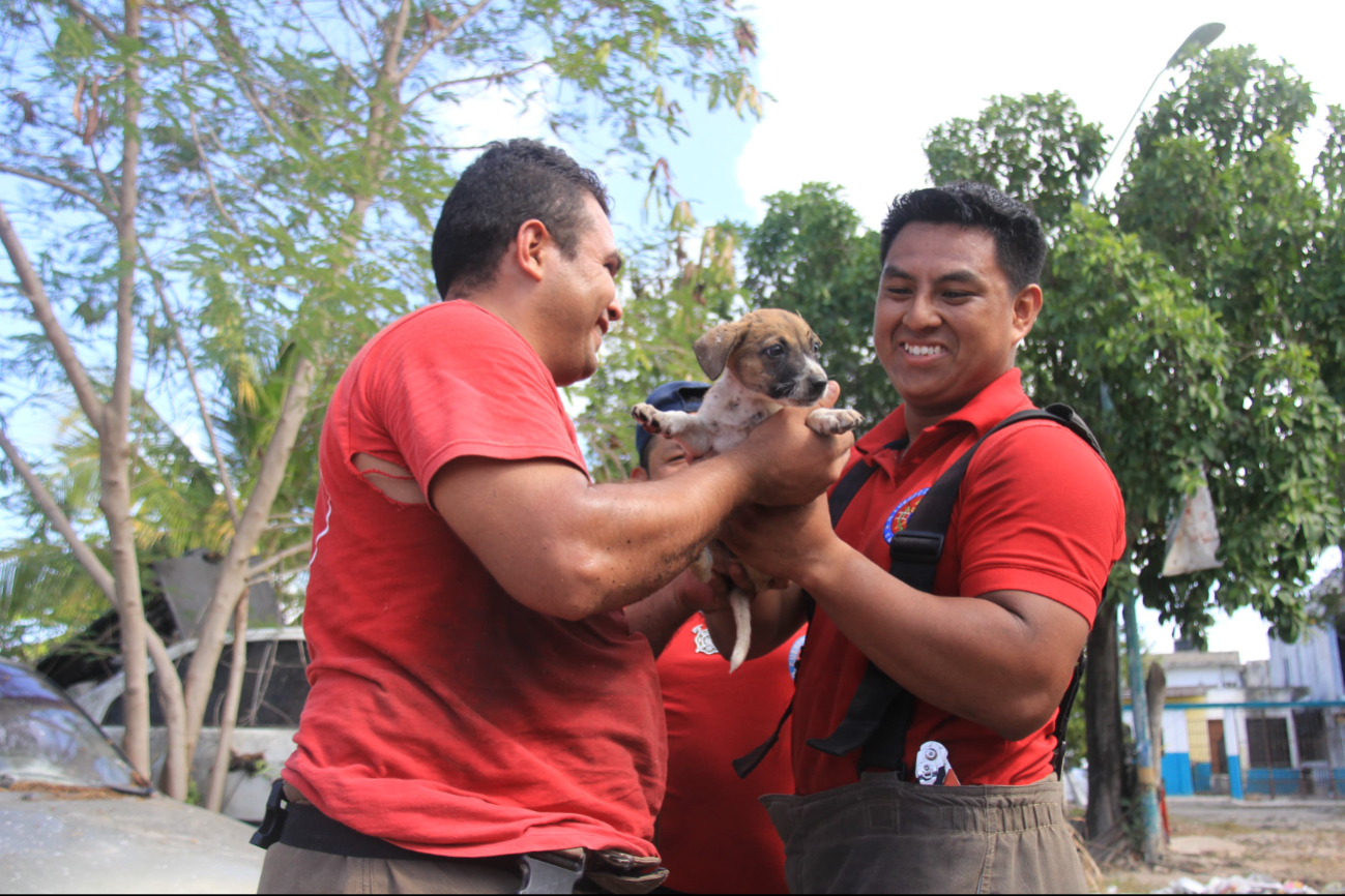 Tras el rescate, los bomberos celebraron, e incluso se tomaron fotografías con el cachorro