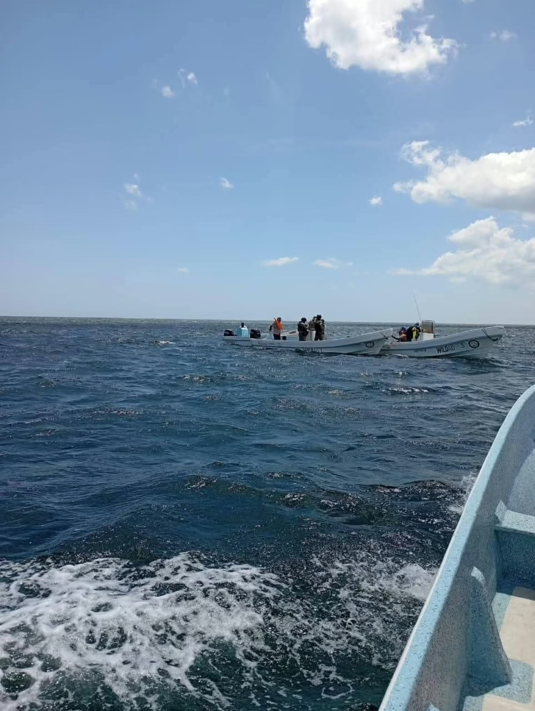 Autoridades atrapan a hombres de mar durante la captura ilegal de especies frente a San Felipe Autoridades atrapan a hombres de mar durante la captura ilegal de especies frente a San Felipe