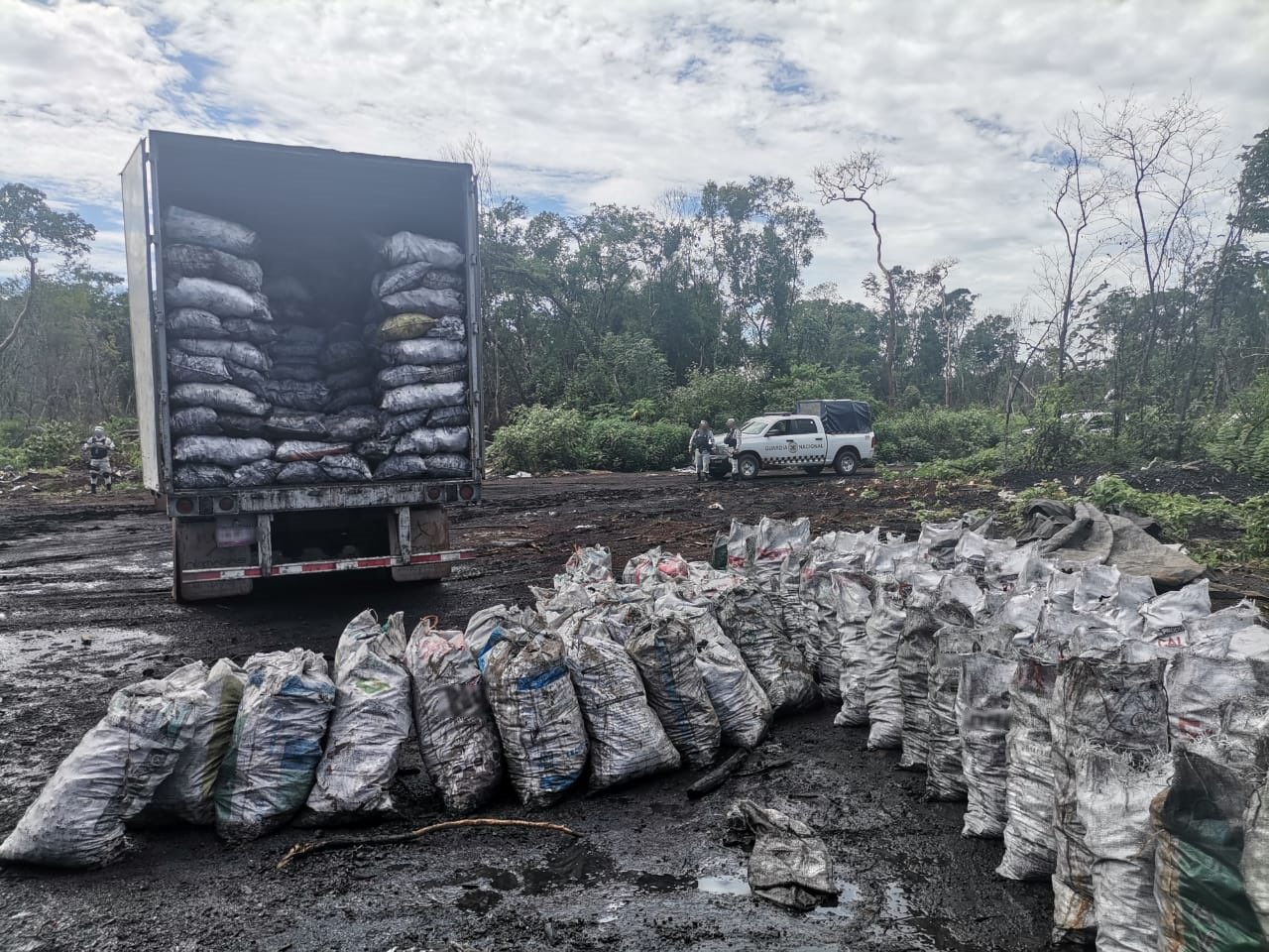 Ejidatarios denuncian invasión y venta ilegal de carbón en Pomuch