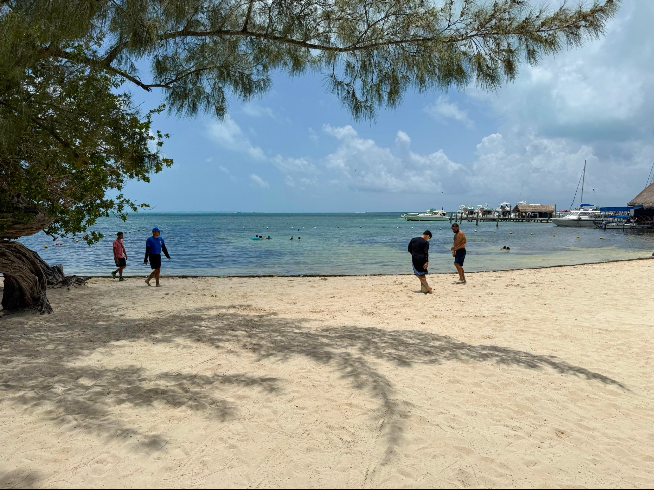 Junto a Playa Norte, Las Perlas es una de las pocas zonas que no presentan recale de sargazo actualmente. Junto a Playa Norte, Las Perlas es una de las pocas zonas que no presentan recale de sargazo actualmente.