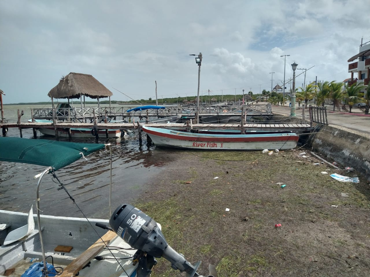 Basura, plásticos y residuos de pesca, los enemigos que ponen en riesgo la vida acuática