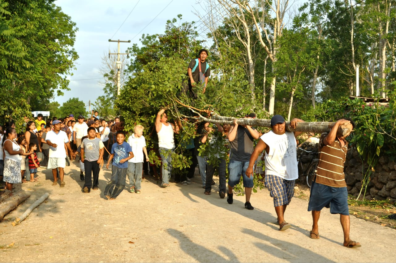 La siembra del yaxché, árbol sagrado, es un evento de gran importancia cultural maya La siembra del yaxché, árbol sagrado, es un evento de gran importancia cultural maya
