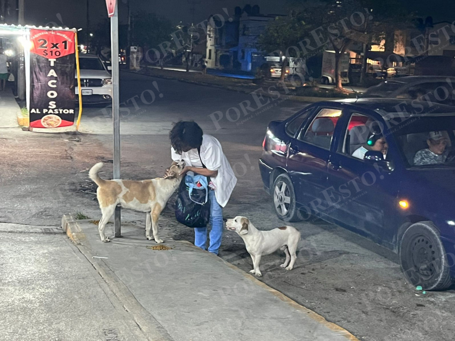 Rebeca también rescata perros lesionados llevándolos a su casa para que se recuperen y buscarles hogar Rebeca también rescata perros lesionados llevándolos a su casa para que se recuperen y buscarles hogar