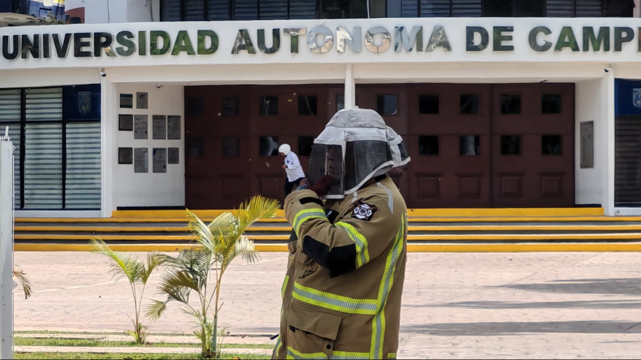 Pánico en la UAC por enjambre de abejas: Estudiante es picado y evacúan campus en Campeche    