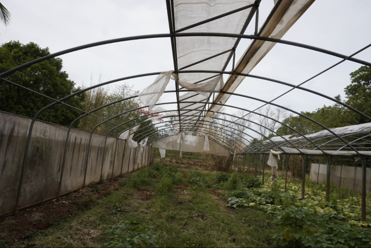 Bachilleratos agropecuarios en la mira: CBTA 15 y CBTA 86 recibirían fondos millonarios Bachilleratos agropecuarios en la mira: CBTA 15 y CBTA 86 recibirían fondos millonarios
