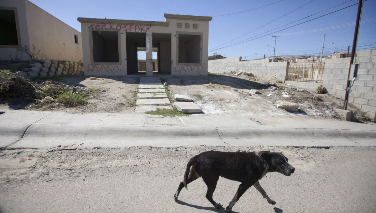 Gobierno de México aclara que invasores con denuncias no podrán regularizar vivienda del Infonavit