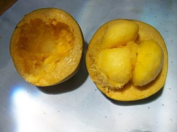 Los pobladores han comenzado a preocuparse por la posible extinción de esta fruta