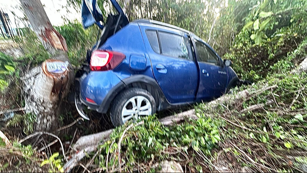 Mientras que el Sandero azul terminó en una zanja Mientras que el Sandero azul terminó en una zanja