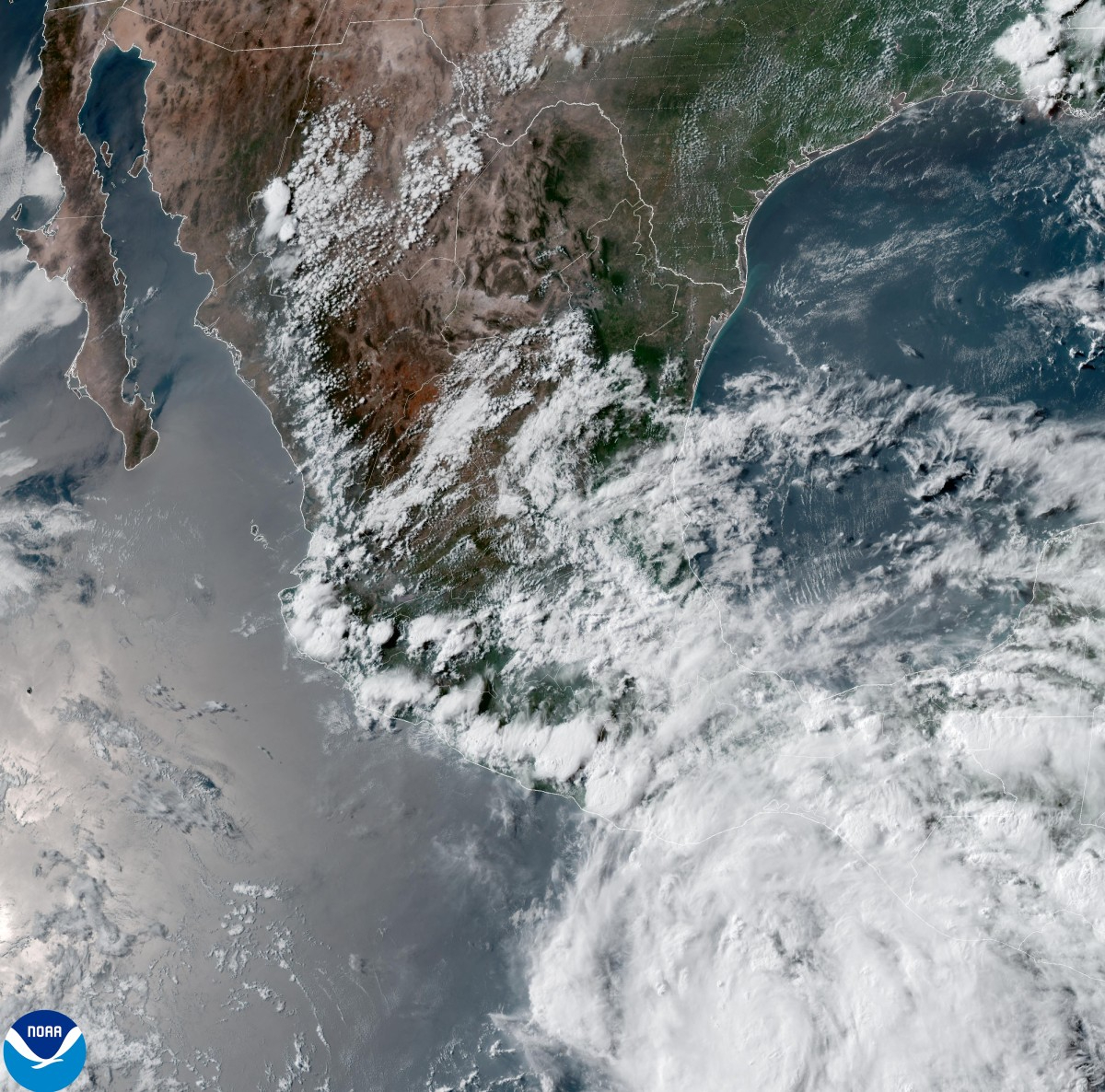 Erick se convierte en poderoso huracán categoría 4 antes de tocar tierra; ¡emergencia en Oaxaca y Guerrero!